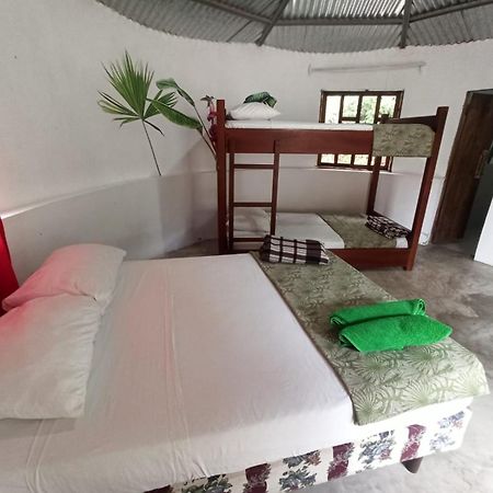 Guest House Great Hostels Amazon Puyo Eksteriør billede