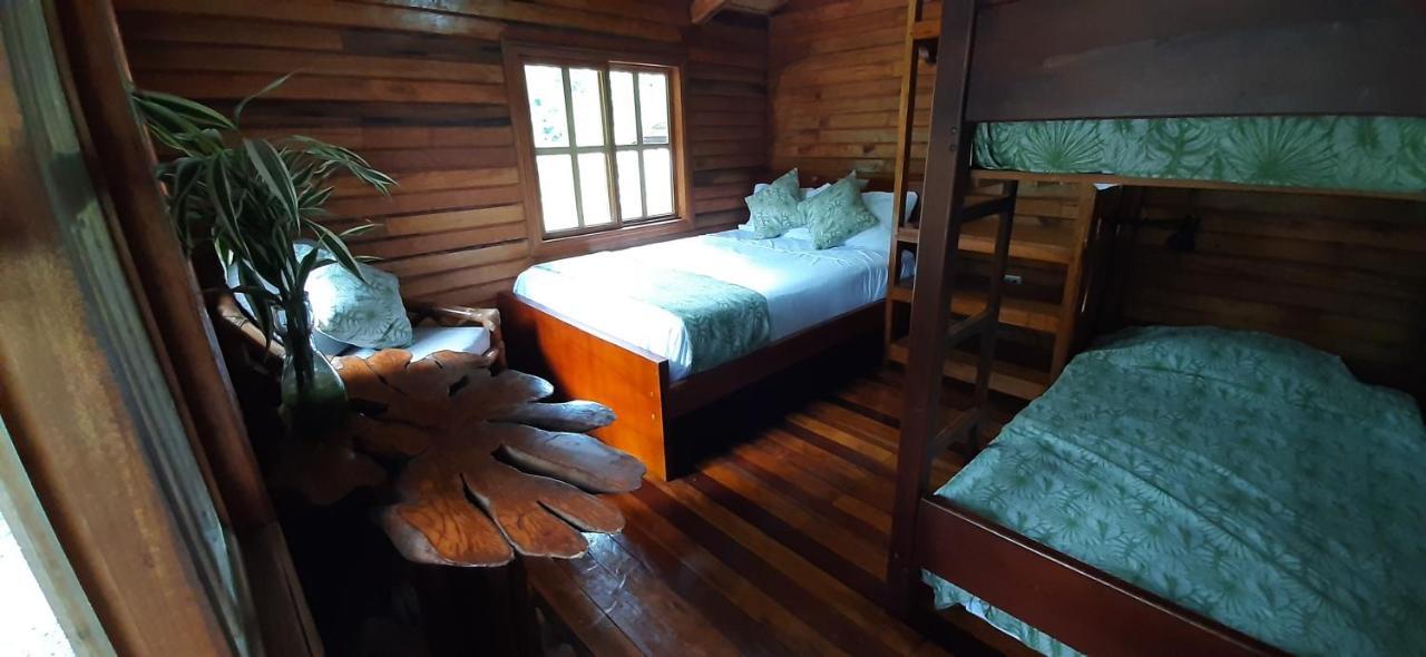 Guest House Great Hostels Amazon Puyo Eksteriør billede