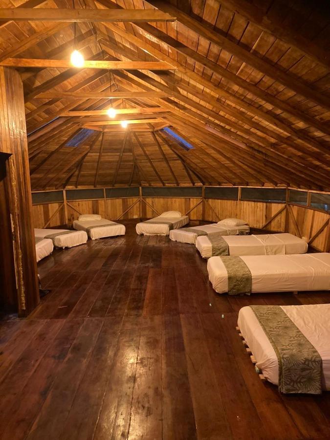 Guest House Great Hostels Amazon Puyo Eksteriør billede