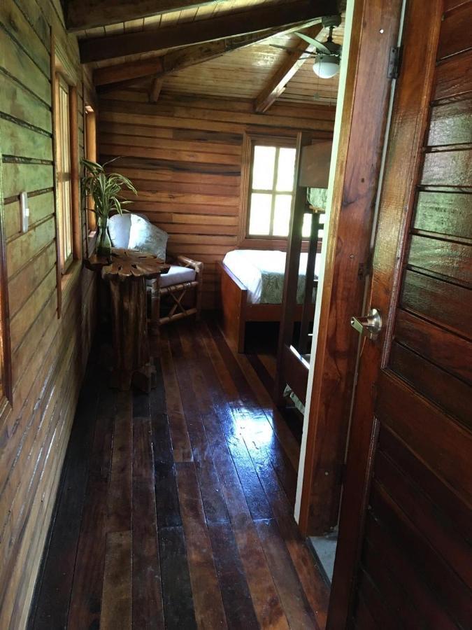 Guest House Great Hostels Amazon Puyo Eksteriør billede