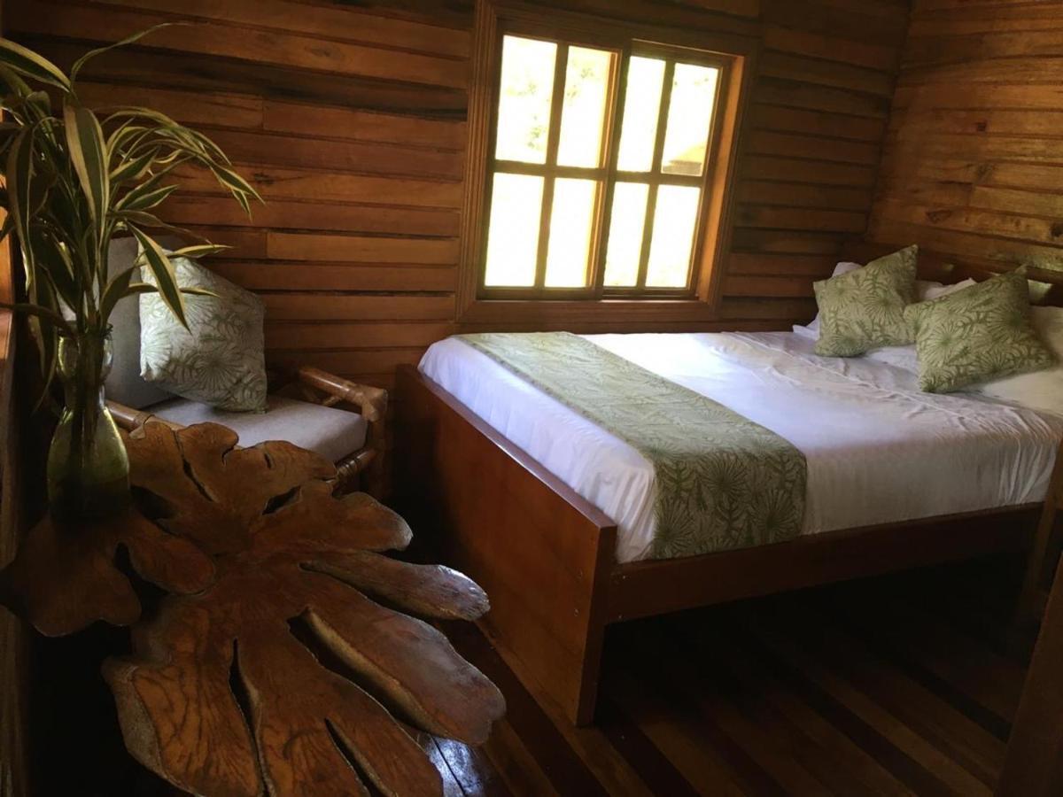 Guest House Great Hostels Amazon Puyo Eksteriør billede
